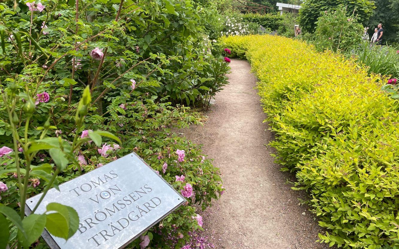 Gästträdgården som är mest uppskattad är Tomas von Brömssens. 